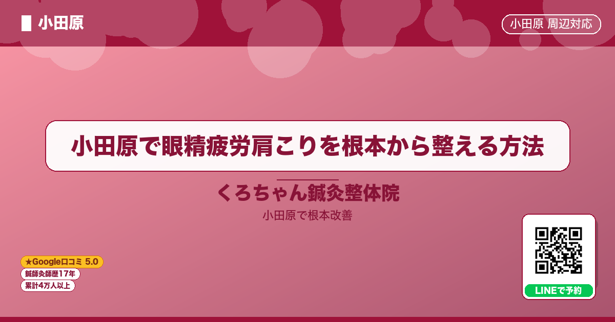 小田原で眼精疲労肩こりを根本から整える方法 - 小田原ローカル