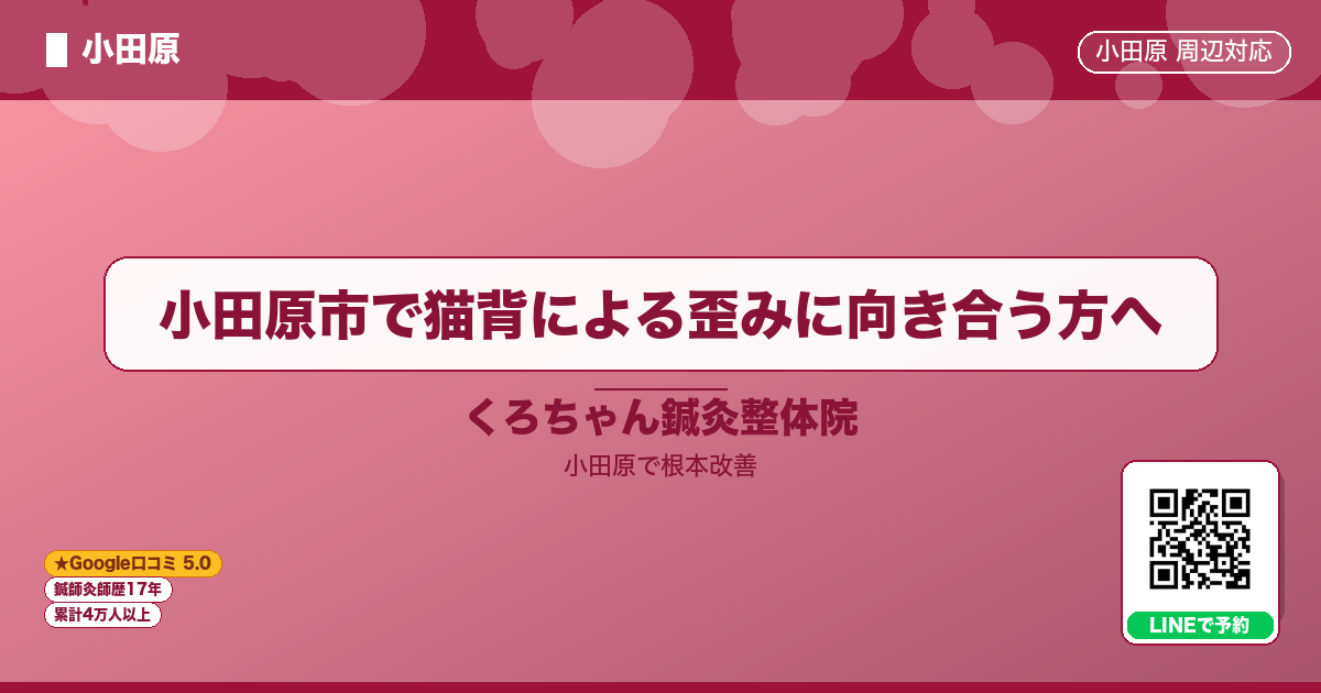 小田原市で猫背による歪みに向き合う方へ - 小田原ローカル