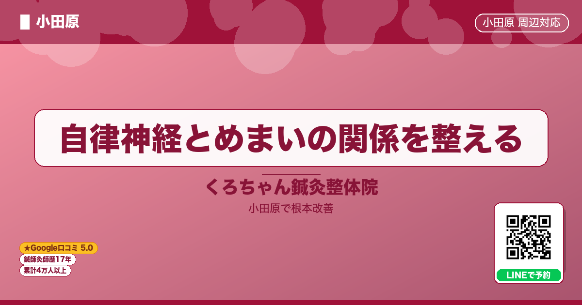 自律神経とめまいの関係を整える - 小田原ローカル