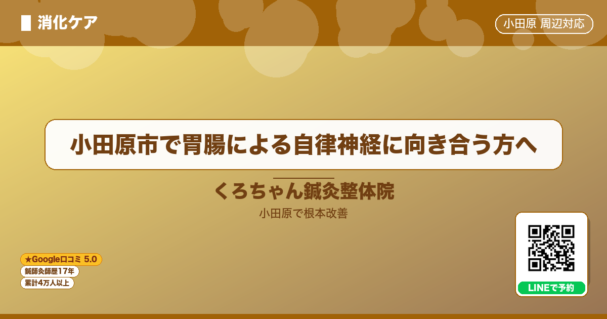 小田原市で胃腸による自律神経に向き合う方へ - 消化