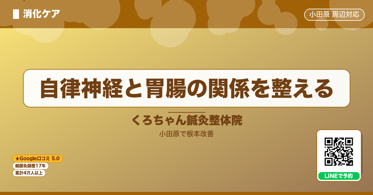 自律神経と胃腸の関係を整える - 消化