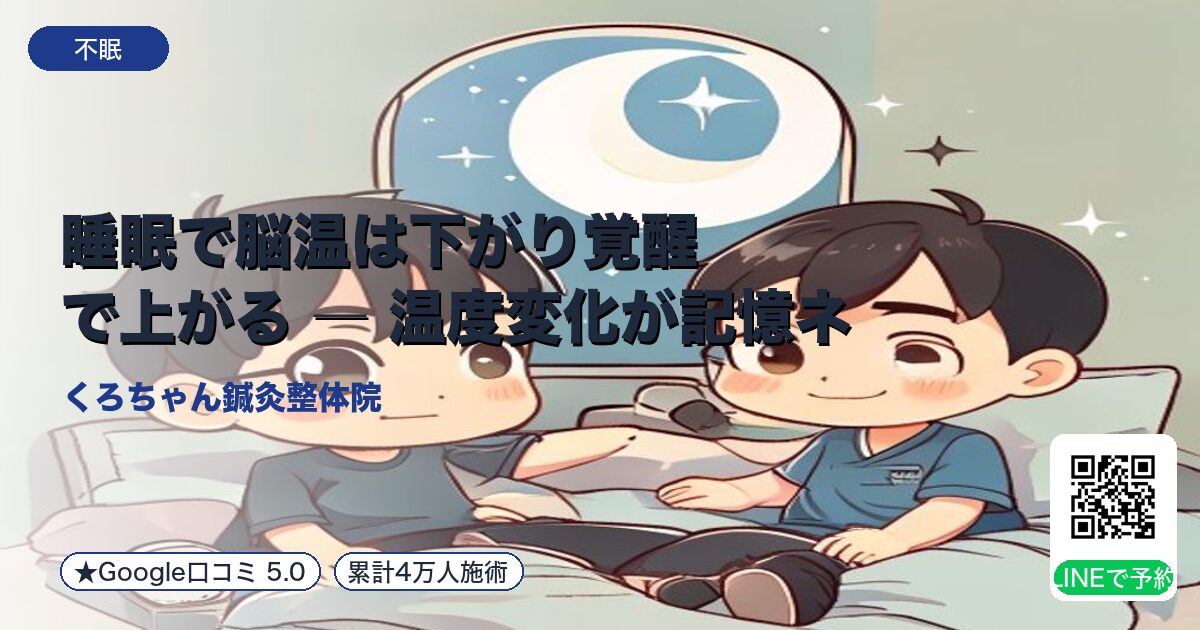 睡眠で脳温は下がり覚醒で上がる ― 温度変化が記憶ネットワー
