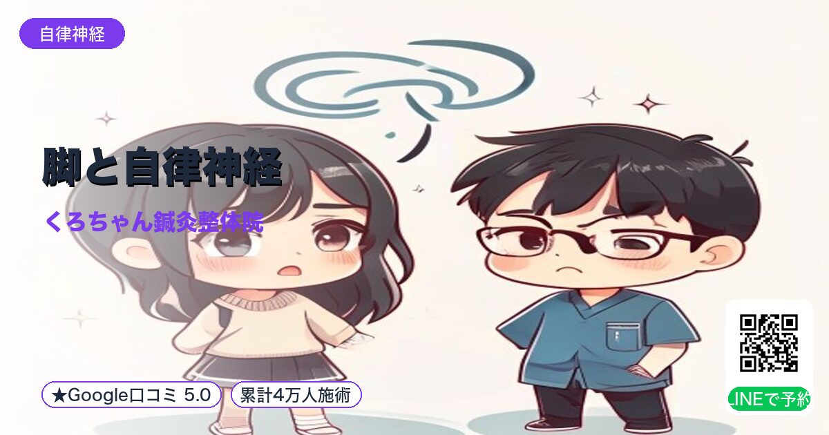 脚と自律神経｜末端制御