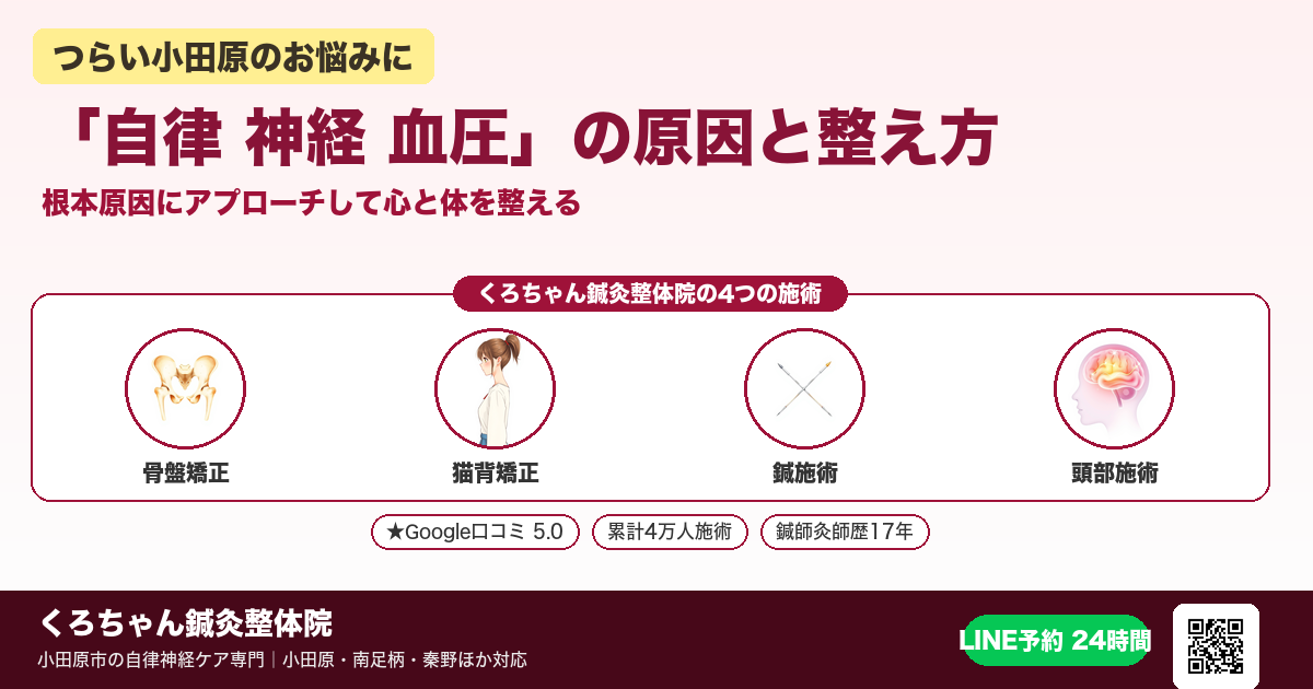 「自律 神経 血圧」の原因と整え方|小田原