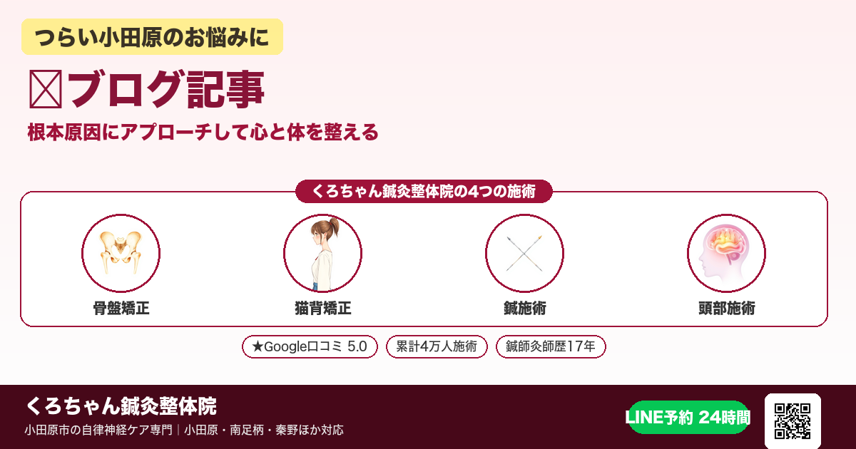 ✨ブログ記事 - 小田原ローカル