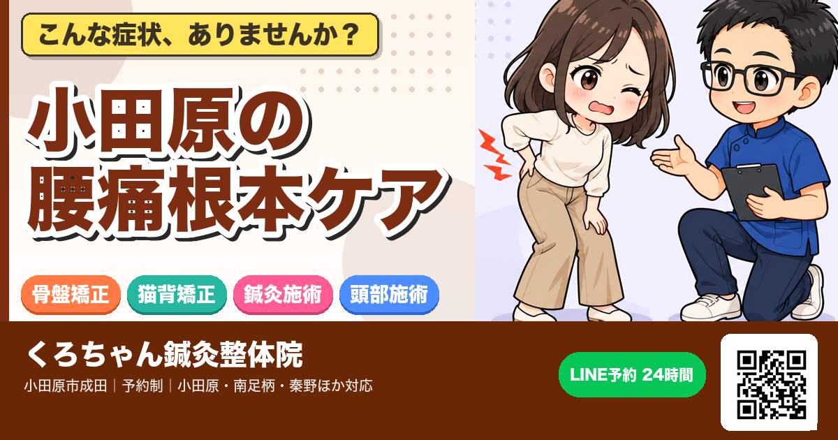 小田原の腰痛根本ケア｜歪み・自律神経を整える整体院のアイキャッチイラスト