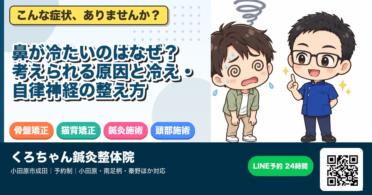 鼻が冷たいのはなぜ？考えられる原因と冷え・自律神経の整え方