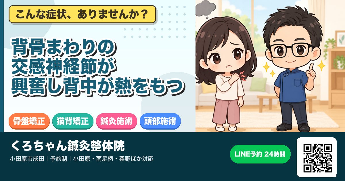 背骨まわりの交感神経節が興奮し背中が熱をもつ|小田原の鍼灸整体