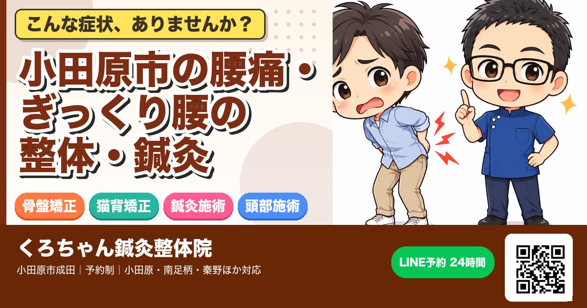 小田原市の腰痛・ぎっくり腰の整体・鍼灸