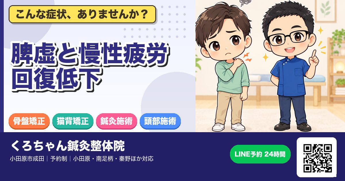 脾虚と慢性疲労|回復低下|小田原の鍼灸整体